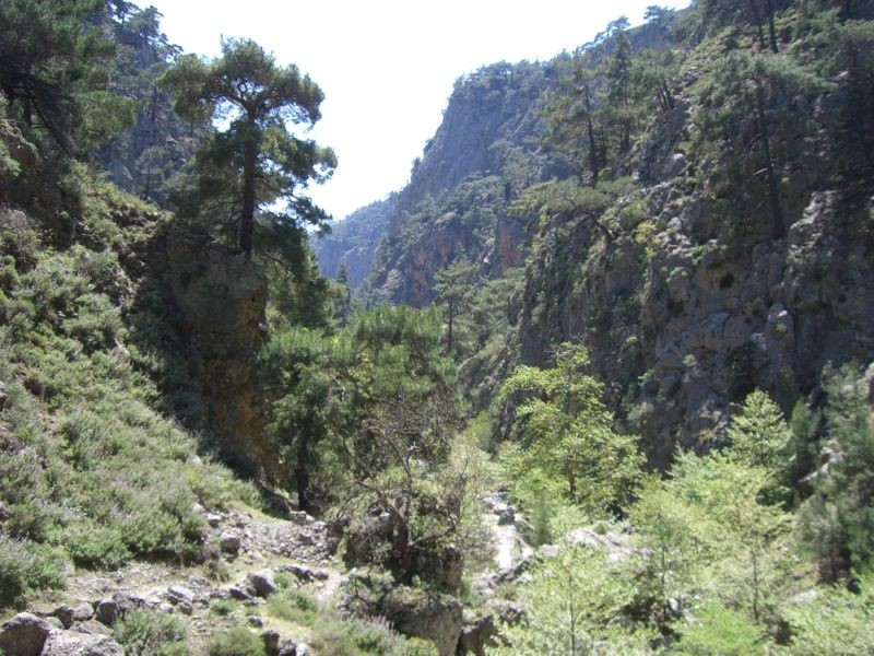 CIMG7263 Irini gorge